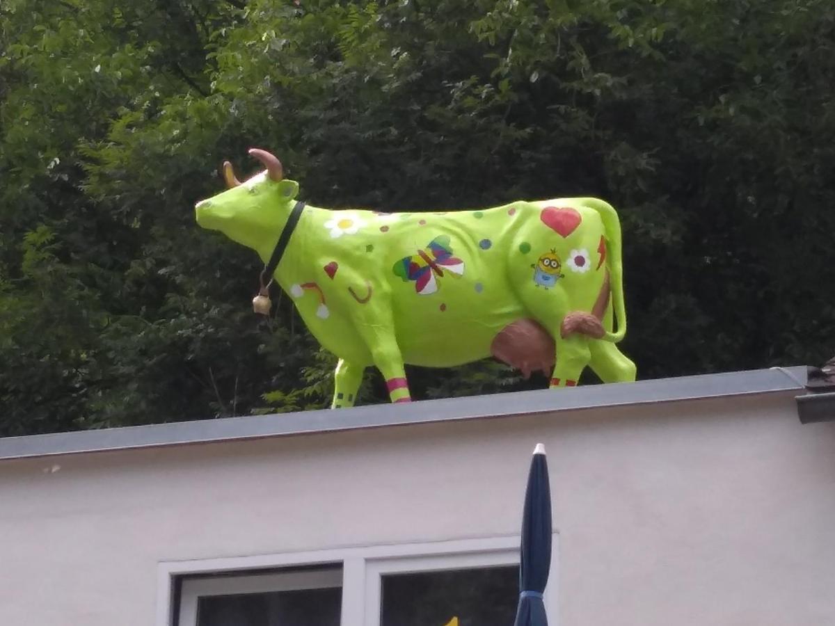 Pension Camping Schausten Κόχεμ Εξωτερικό φωτογραφία
